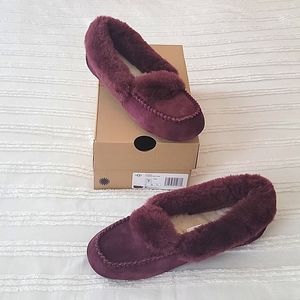 Ugg Dakota Spill Seam Slipper in Wild Grape